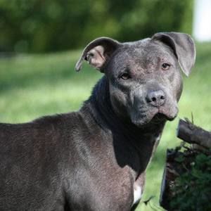 Meet your Posher, Lynette